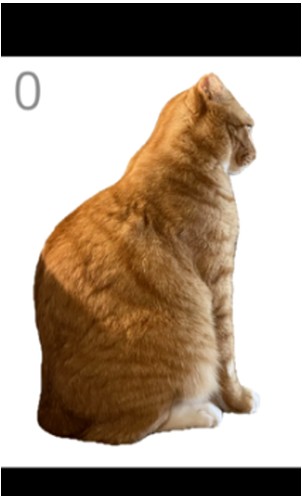 给猫梳毛游戏