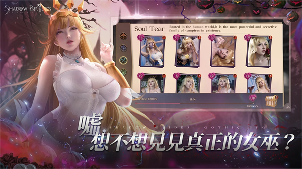 影子新娘游戏截图1