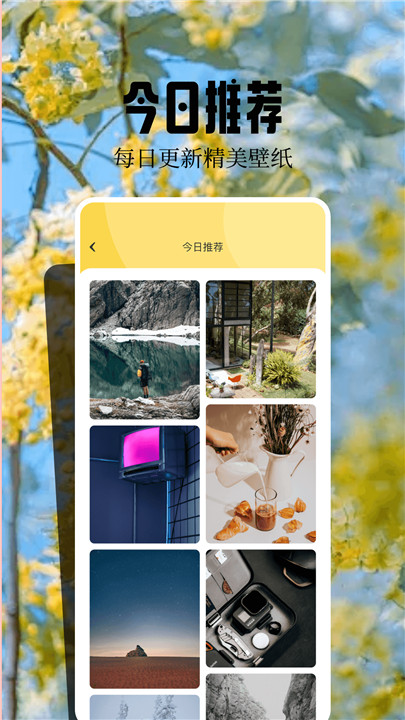 魔秀壁纸截图2