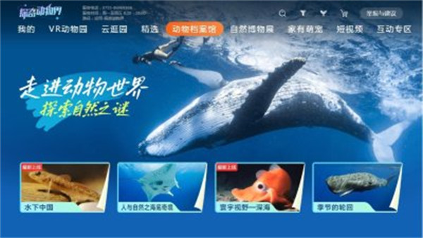 探奇动物界截图1