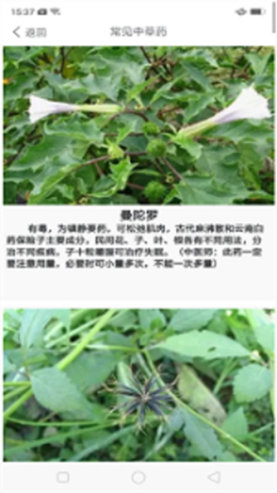 中药养生记截图2