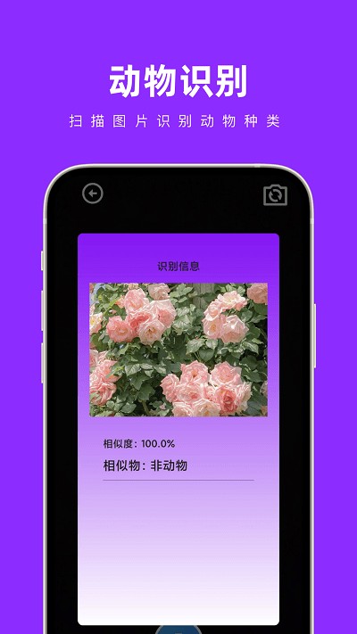 奇妙扫扫箱