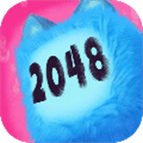 滚动方块2048