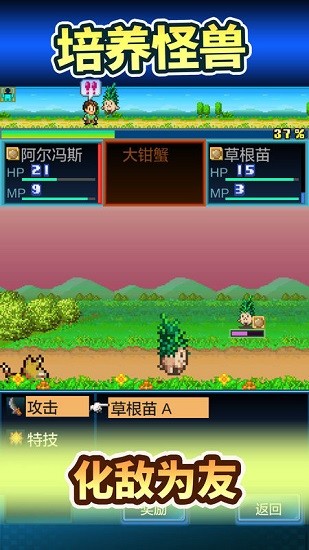 开罗开拓神秘岛